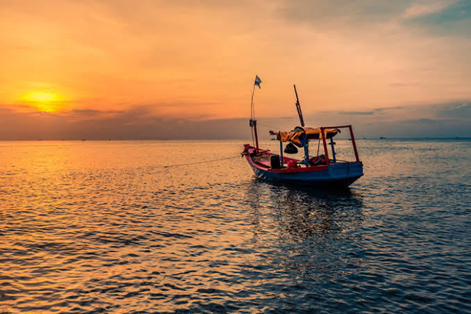 Câu Mực Đêm Phú Quốc